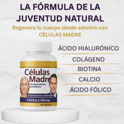 CELULAS MADRE