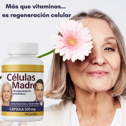 CELULAS MADRE