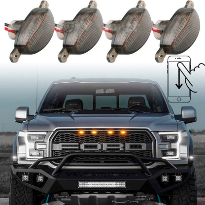 Led Raptor