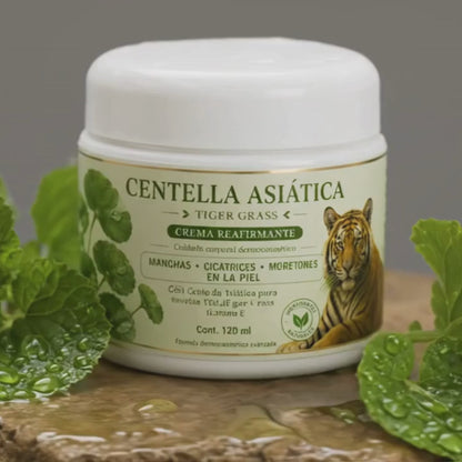CENTELAA ASIÁTICA