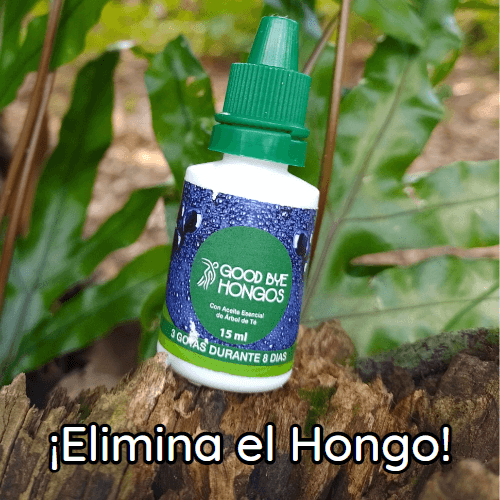 ANIQUILADOR DE HONGOS 100% NATURAL!